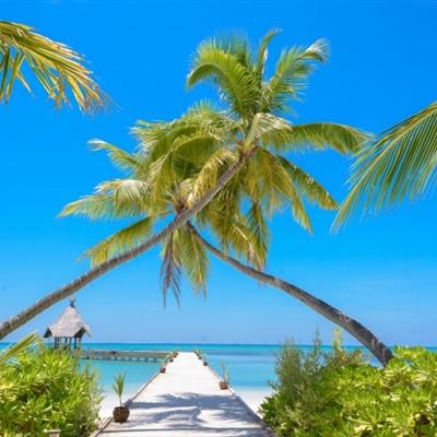 爱游戏·APP下载手机版