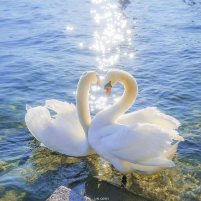 半岛手机网页版登录今日发布