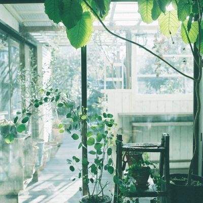 188金宝搏app下载