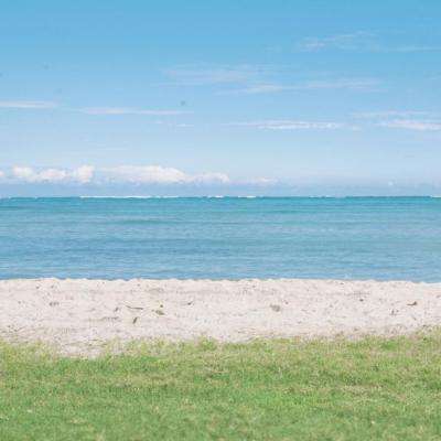 博鱼网页版官网登录