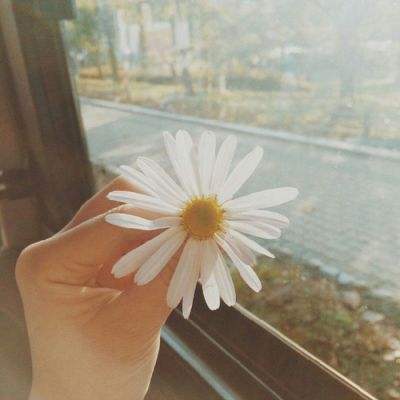 北单足球官网首页