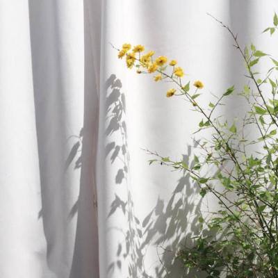 今期澳门三肖三码开一码app下载