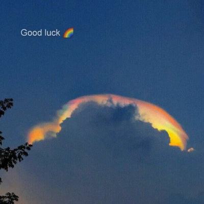 彩信平台官网app下载