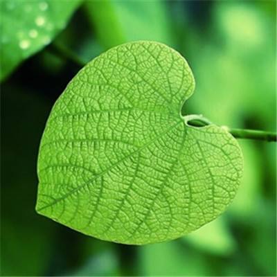 乐鱼app登录入口手机app下载