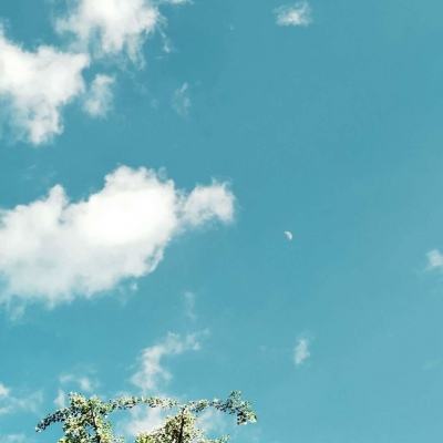 Kaiyun(云开)体育App